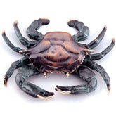 SPI 30748 Crab Doorknocker